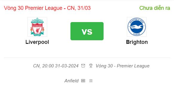 Liverpool vs Brighton