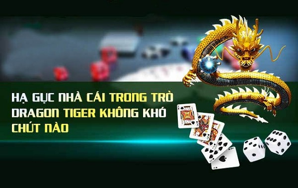 kinh nghiệm chơi rồng hổ